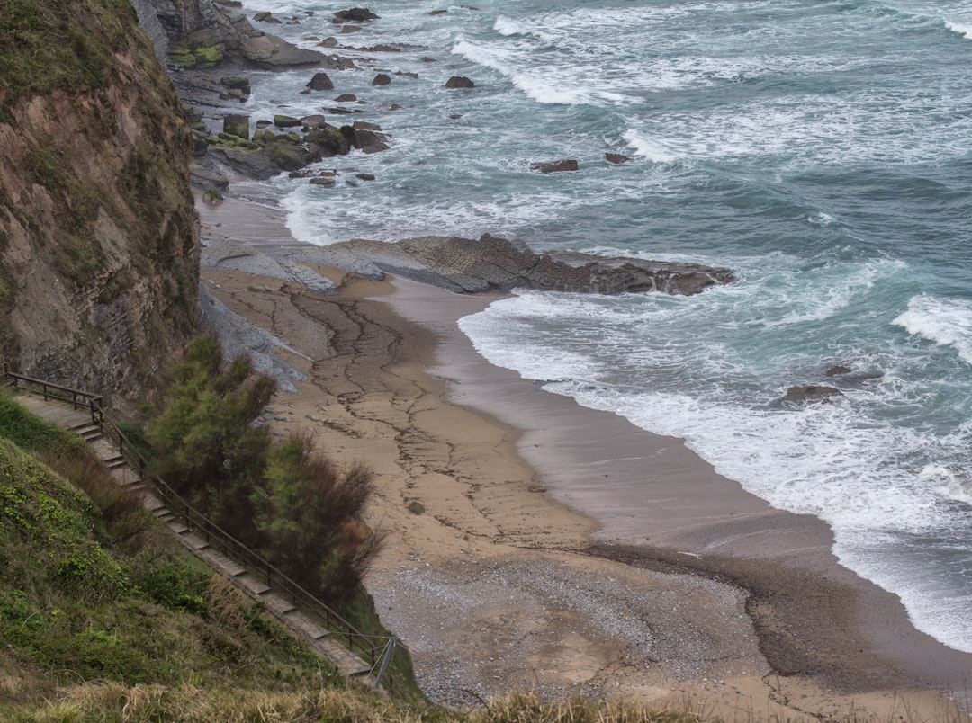 bird's eye view photography of beach line