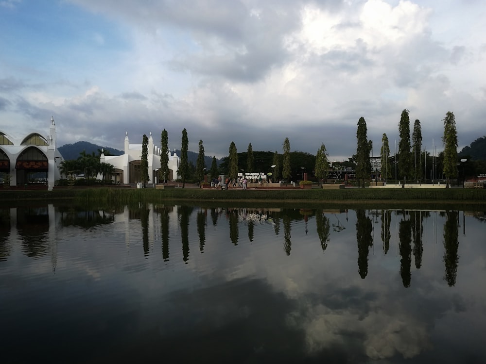 Photographie panoramique d’arbres