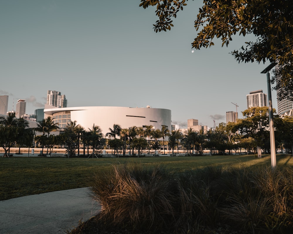 white building surrounded by trees