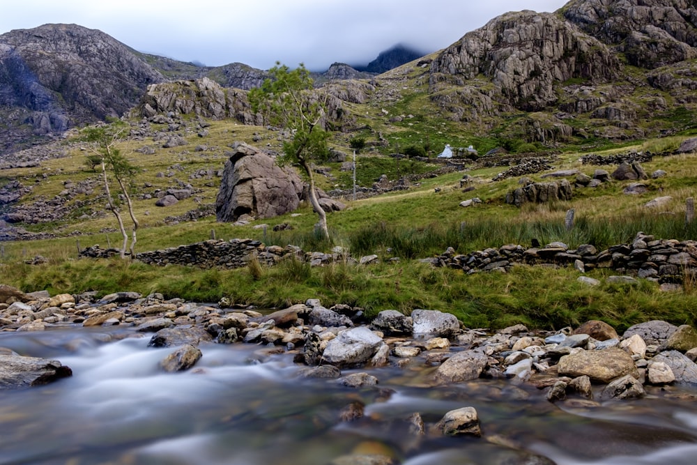 green and brown mountain ridge