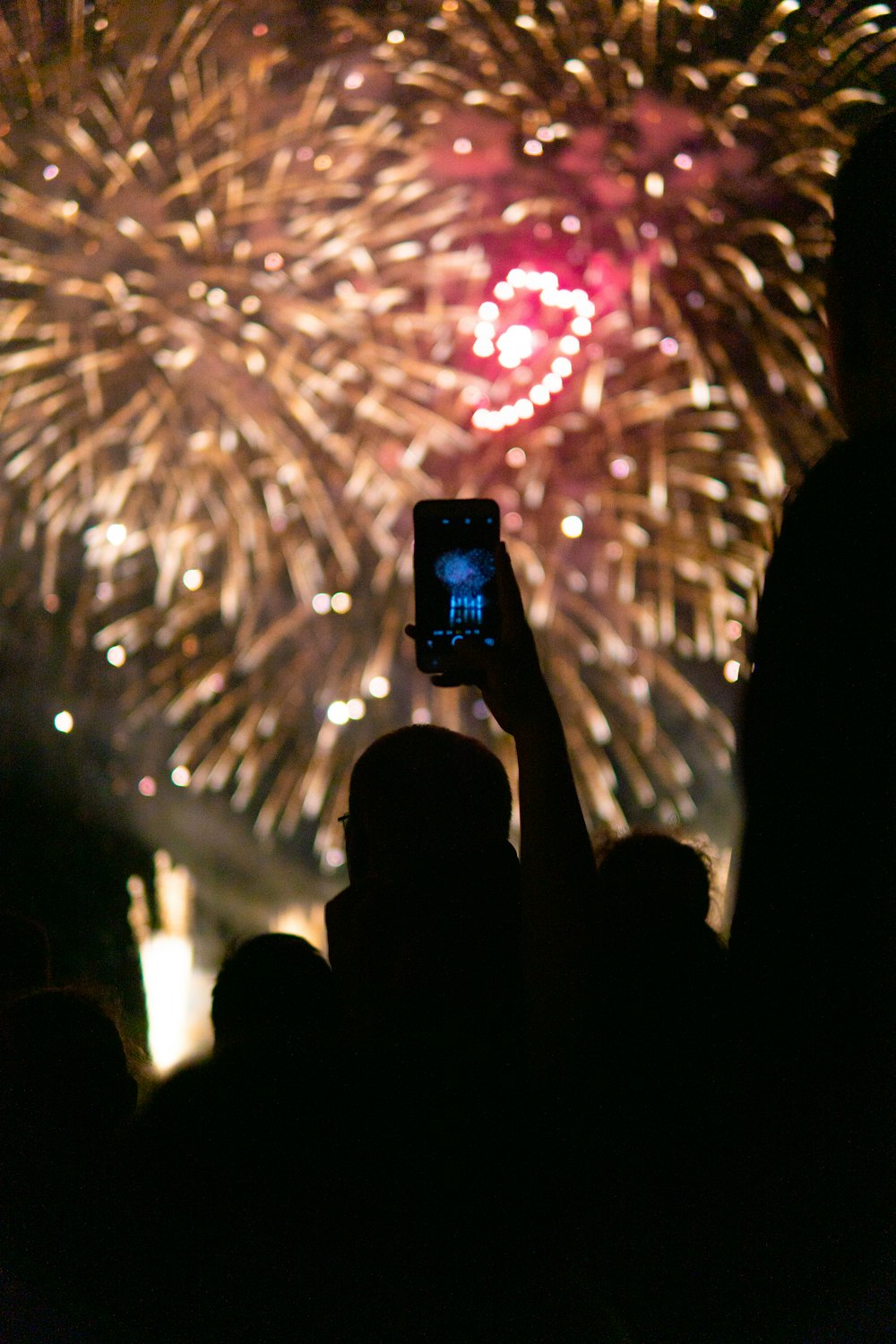 people watching fireworks display