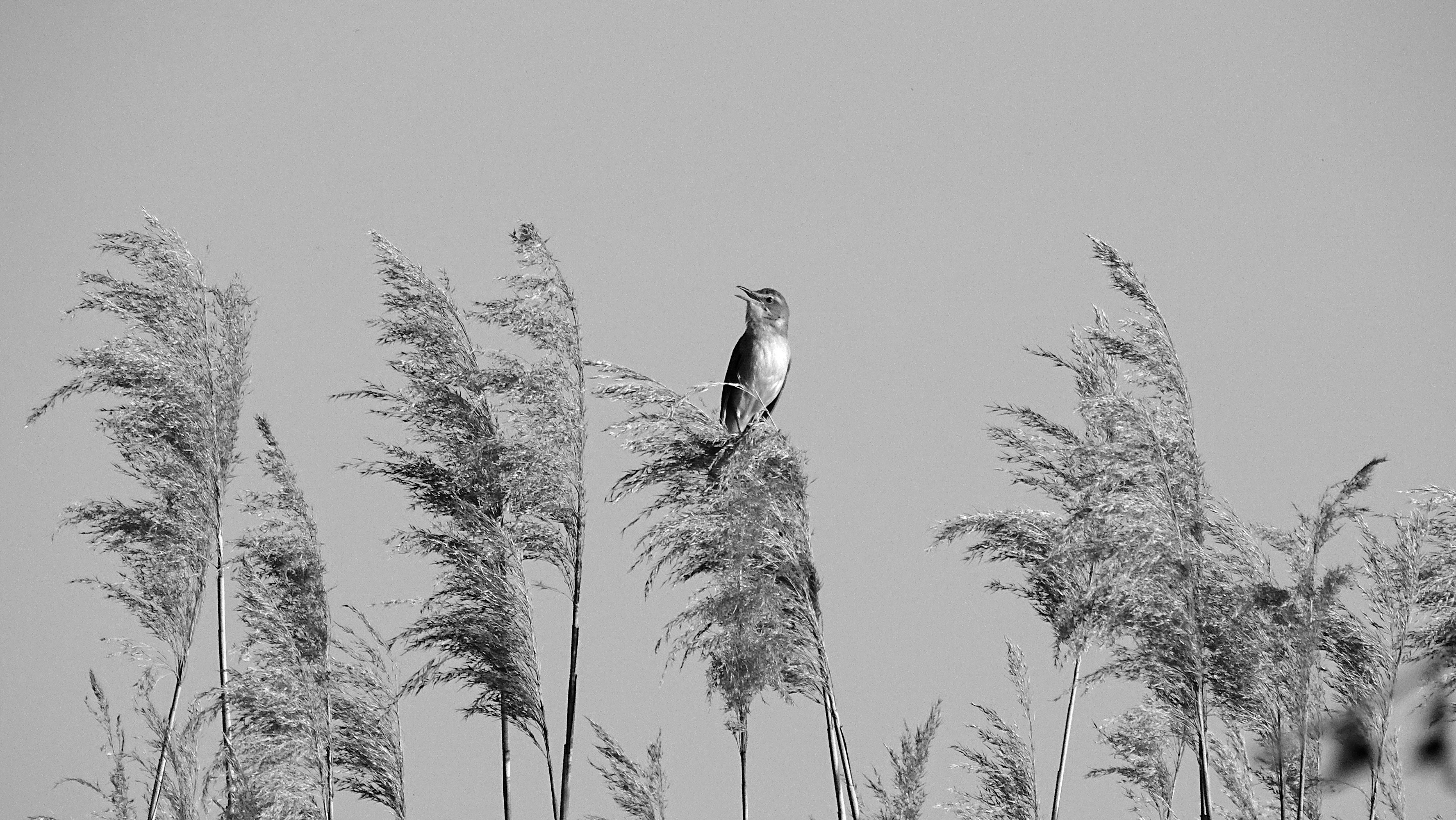 Photo by philographism