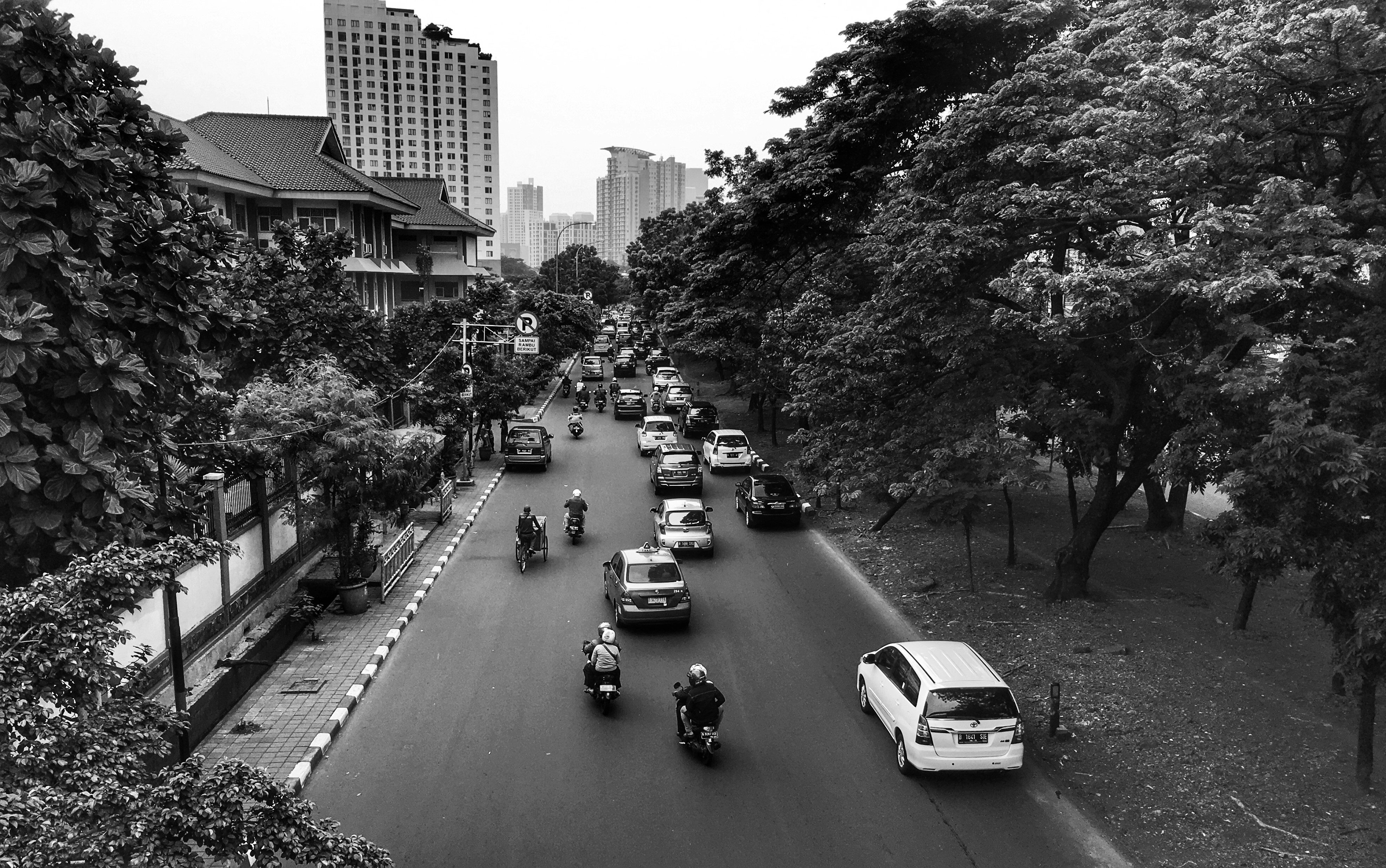 grayscale photo of vehicles near trees