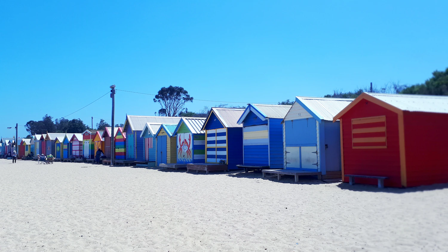 Brighton's bathing boxes stand in a single row along Dendy Street Beach, their painted fronts facing the water and the late-afternoon sun.