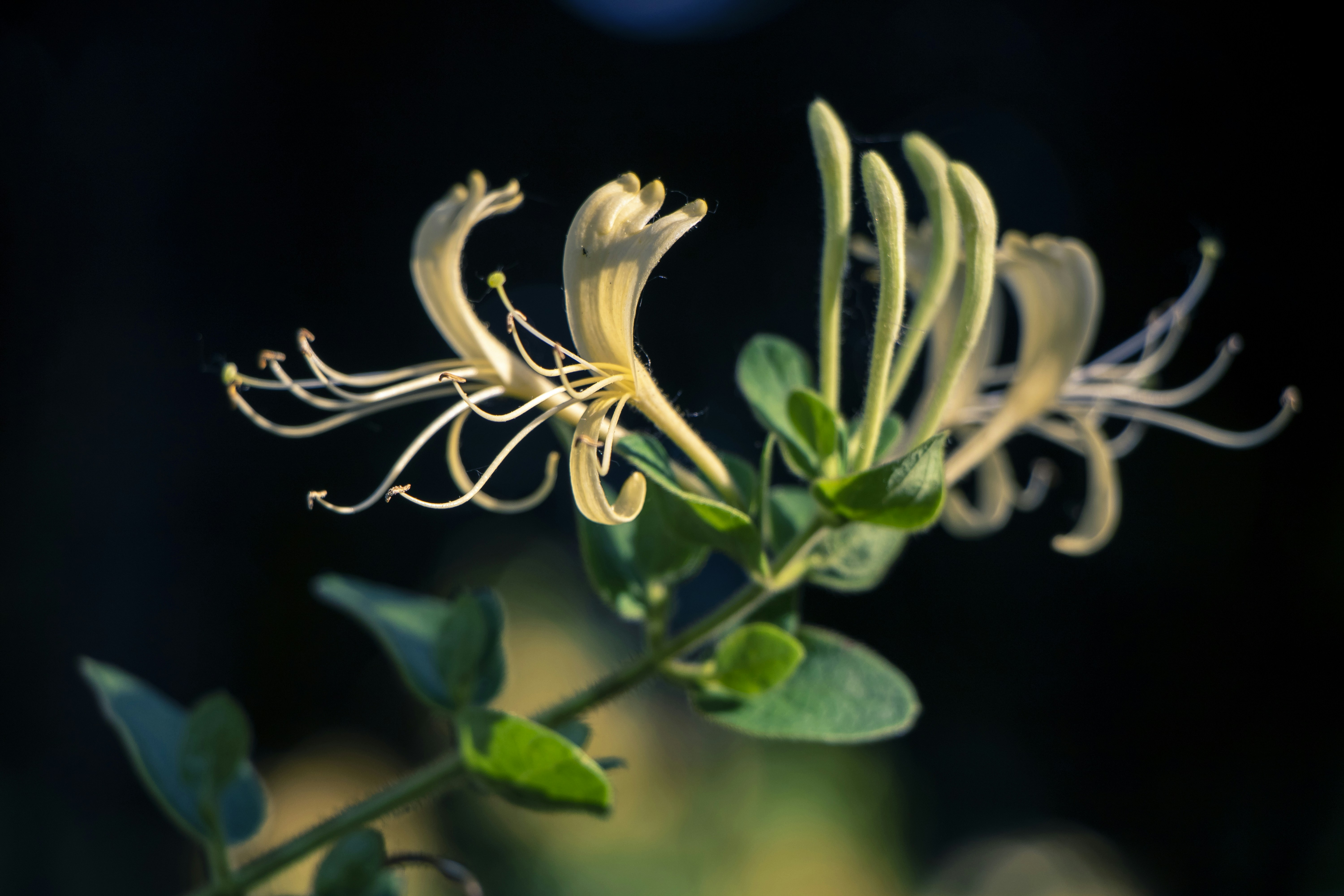 Photo by hsiaoaristides