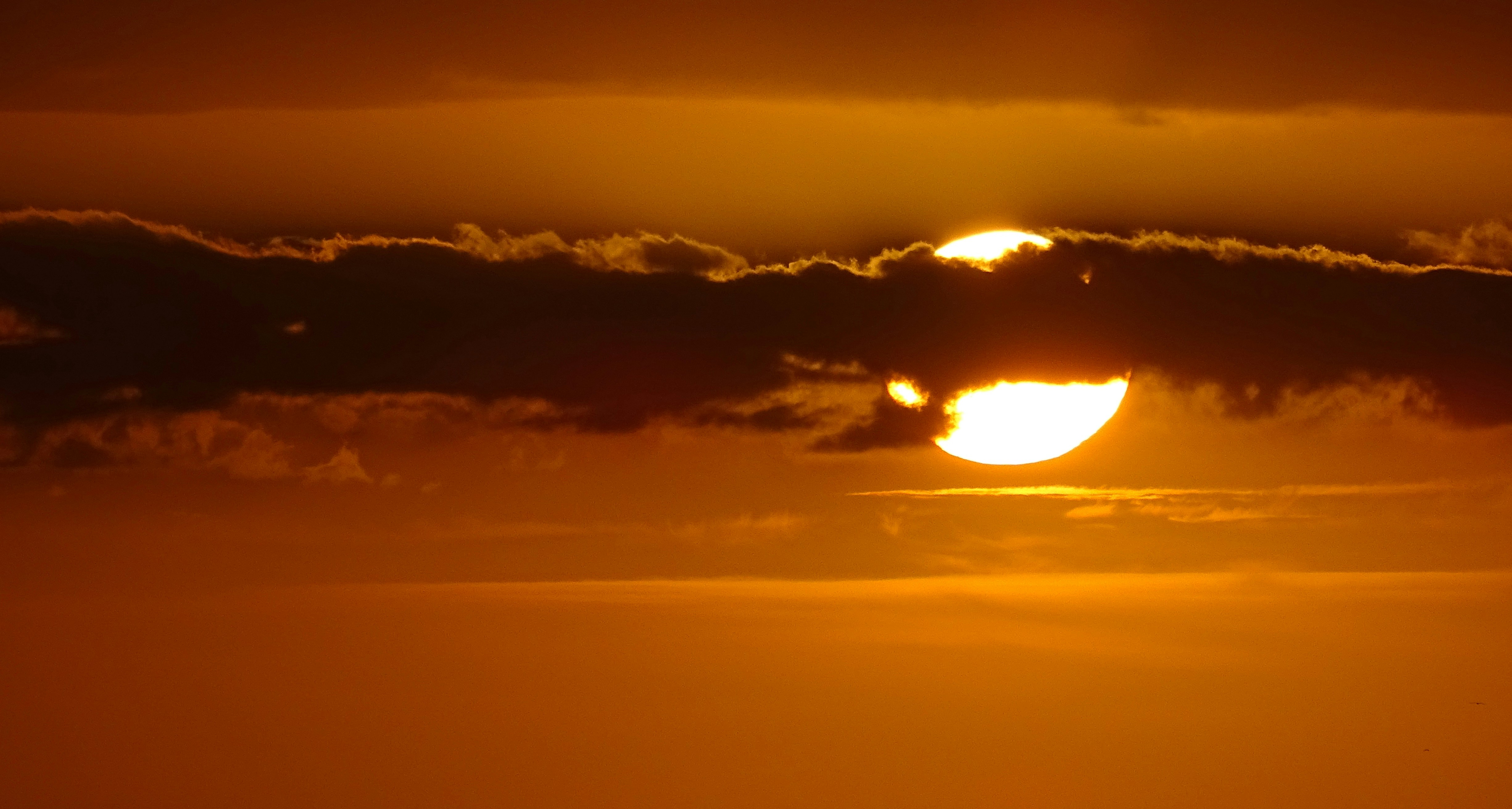 Photo by philographism