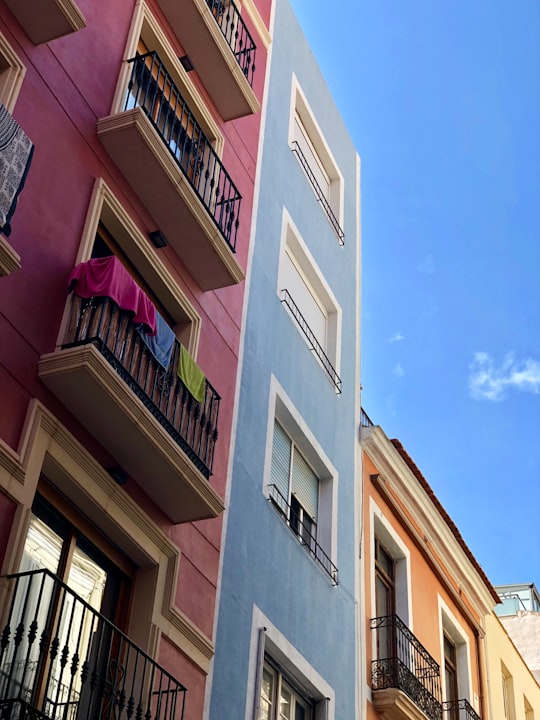 Calle Mayor things to do in Alicante