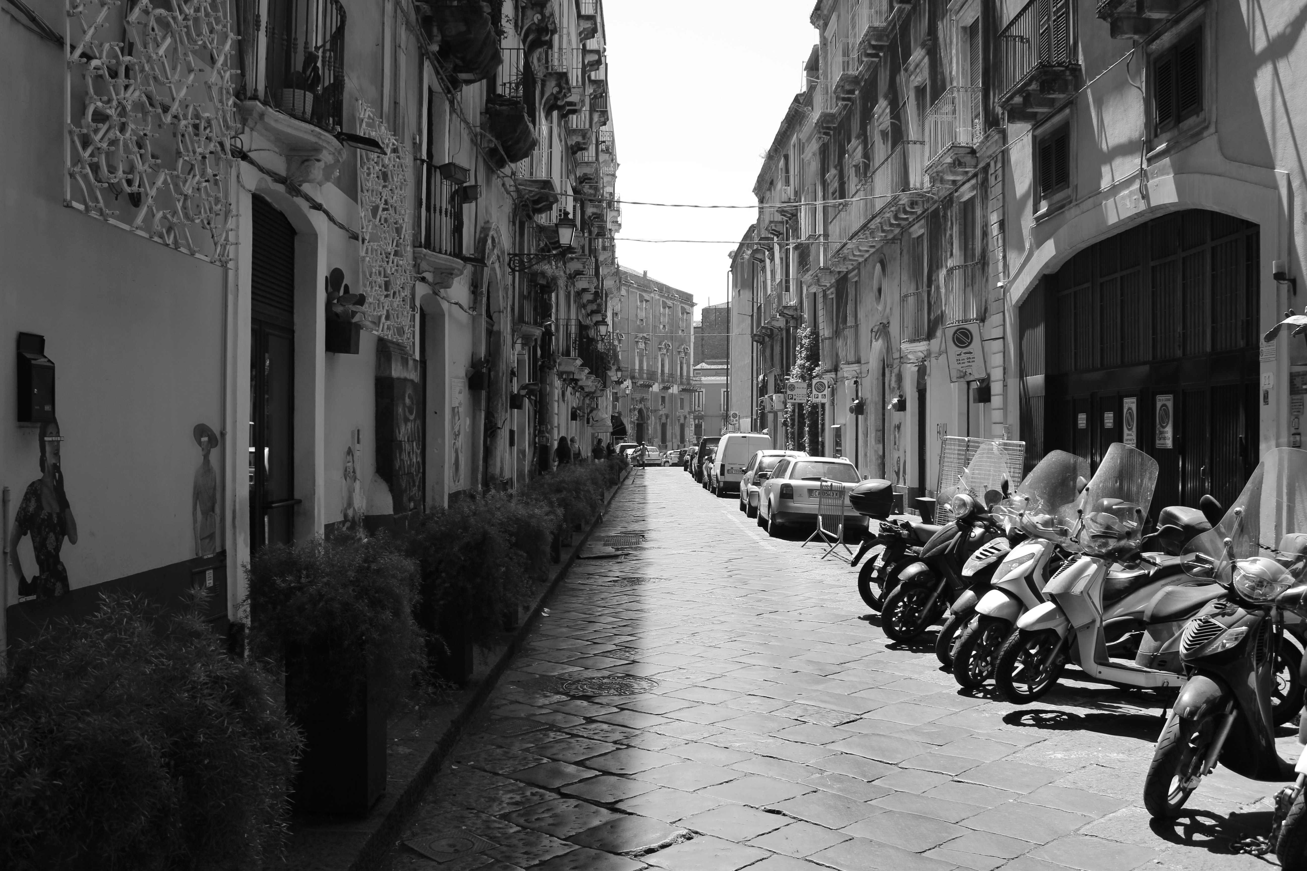 empty pathway with vehicles parked