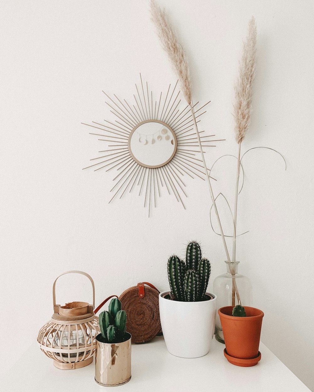 green cacti in pots on white surface