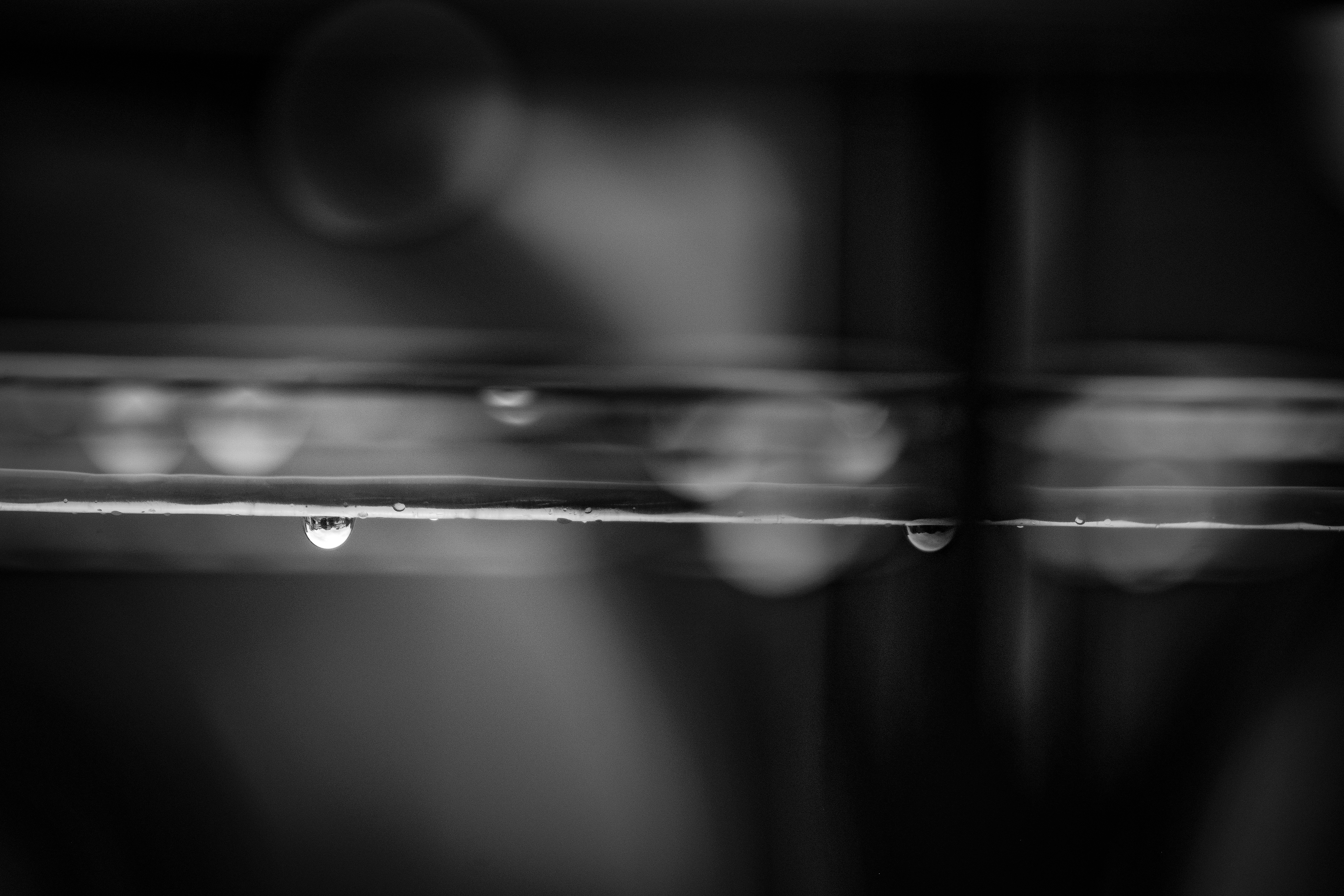 Photo by francesco_ungaro