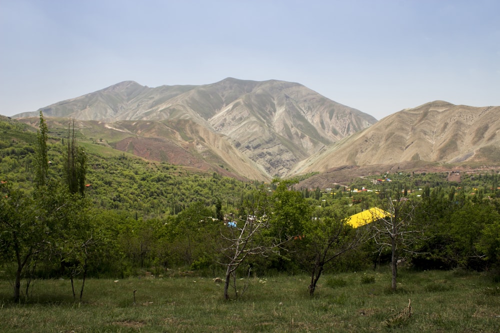 green trees across brown mountain photo