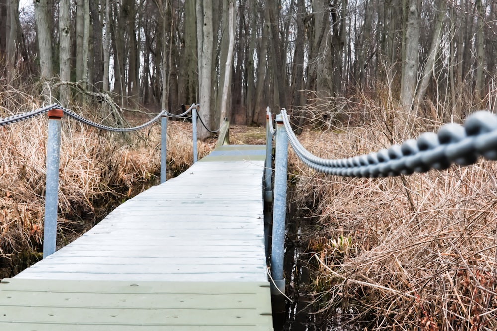 white wooden boardwalk