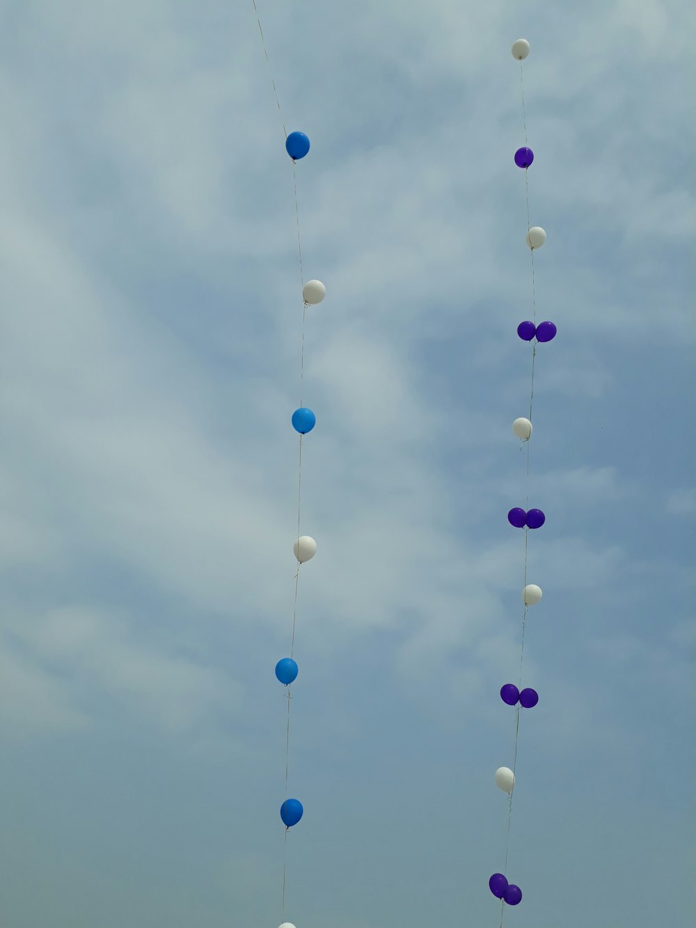 blue and white floating balloons