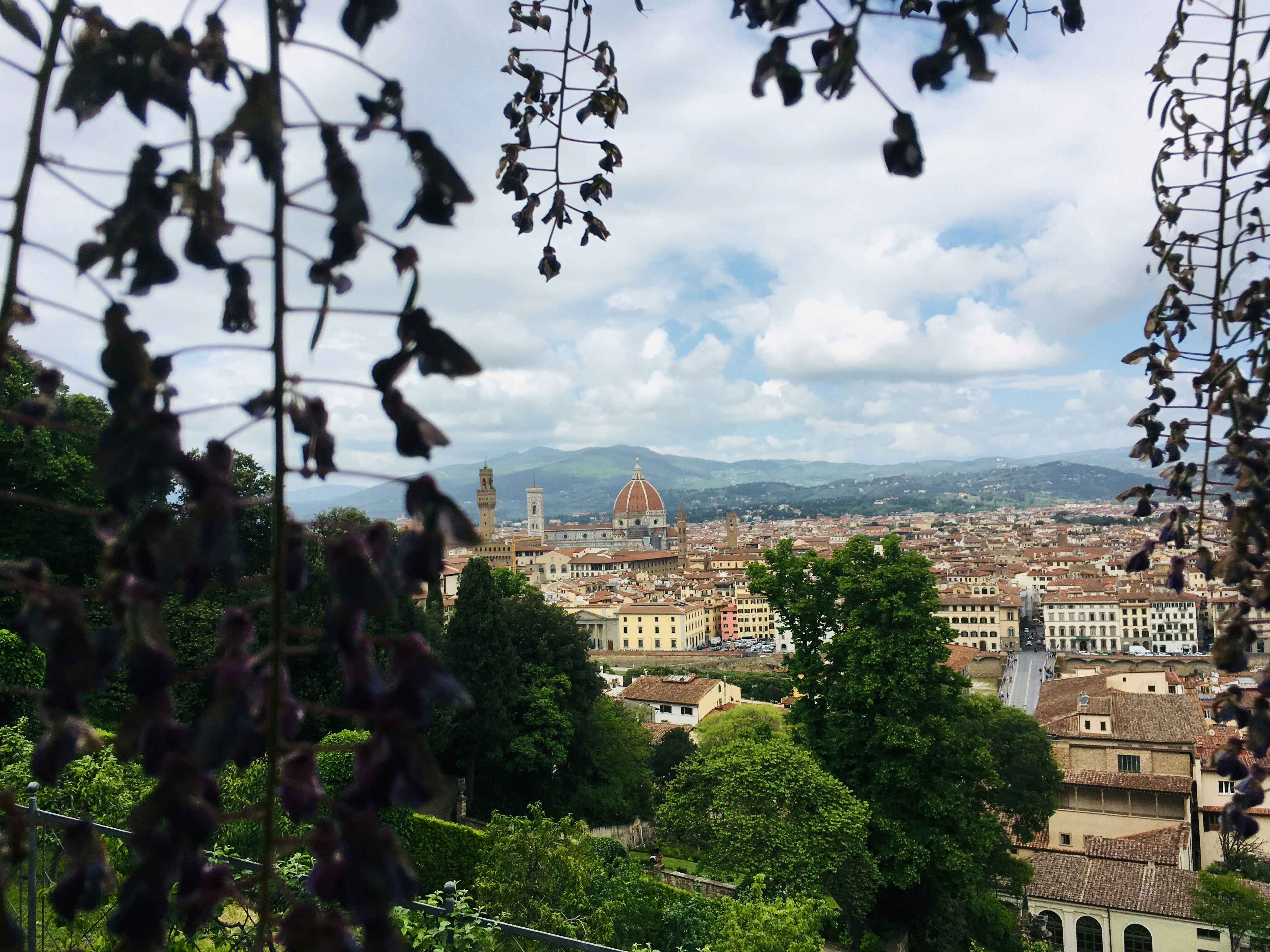Florence weather August: Finding Shade and Refreshment