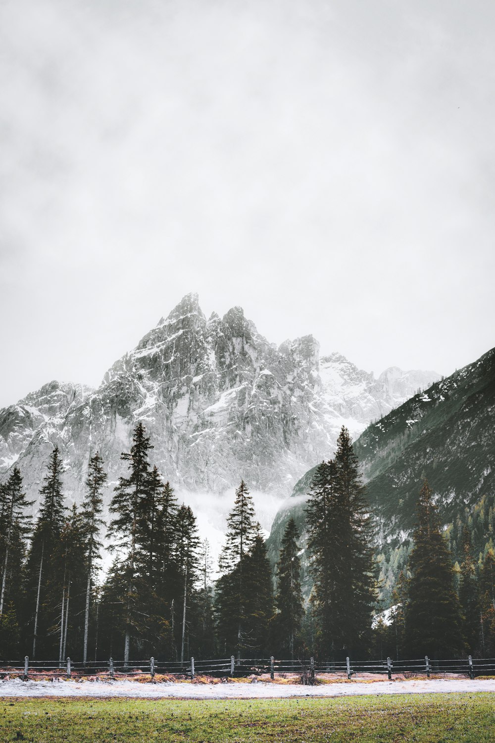 trees beside mountain covered with snow during daytime