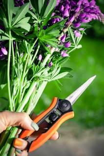 person holding orange and black cutter