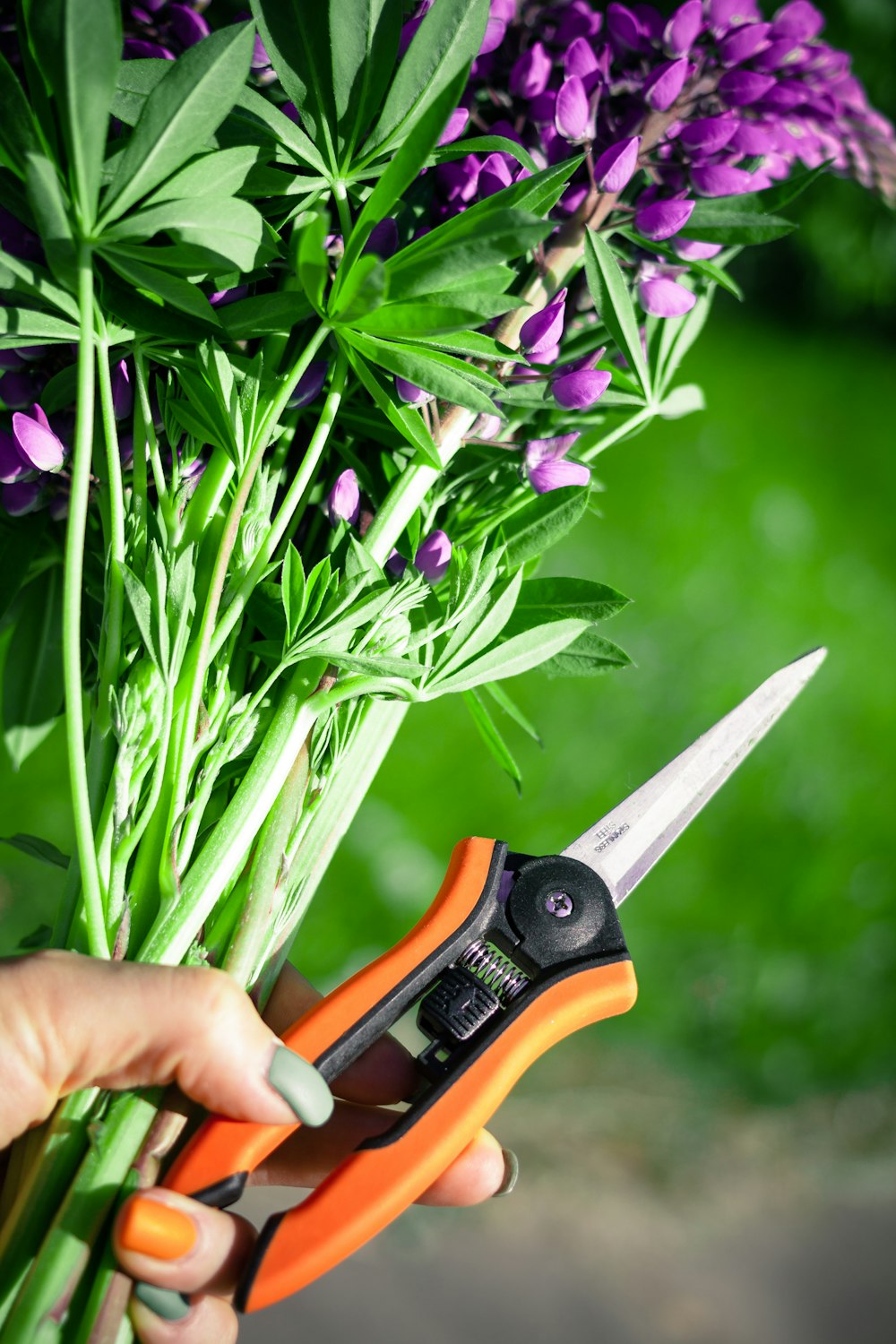 person holding orange and black cutter