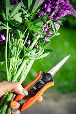 Professional garden tools and equipment