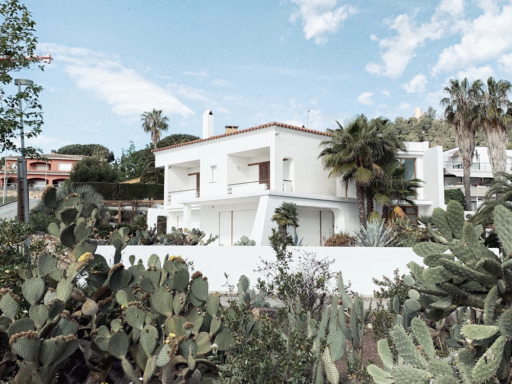 Modern short term rental villa with palm trees