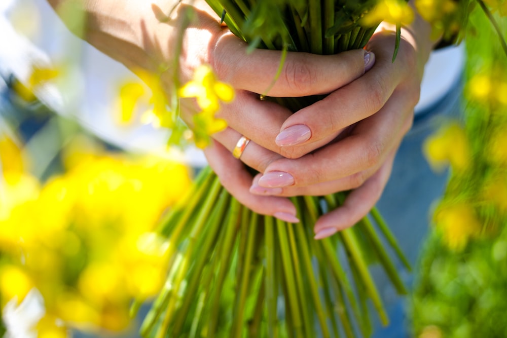 person holding flower stems