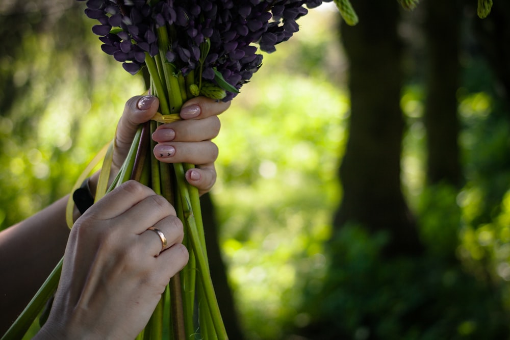 person holding purple-petaled flower bouquet