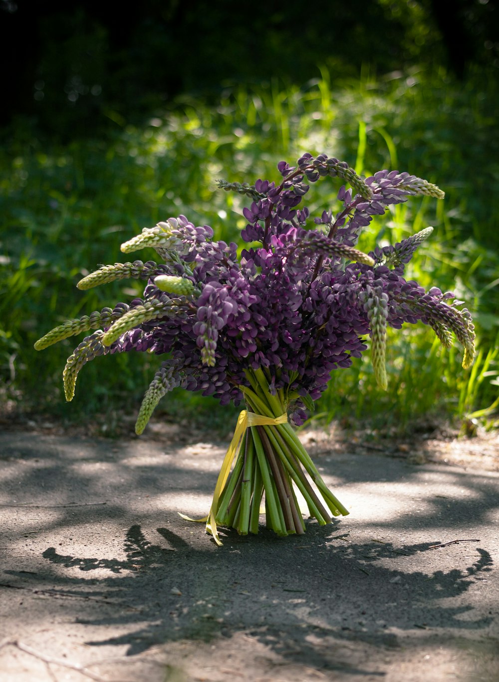 bouquet of lavender on pavement