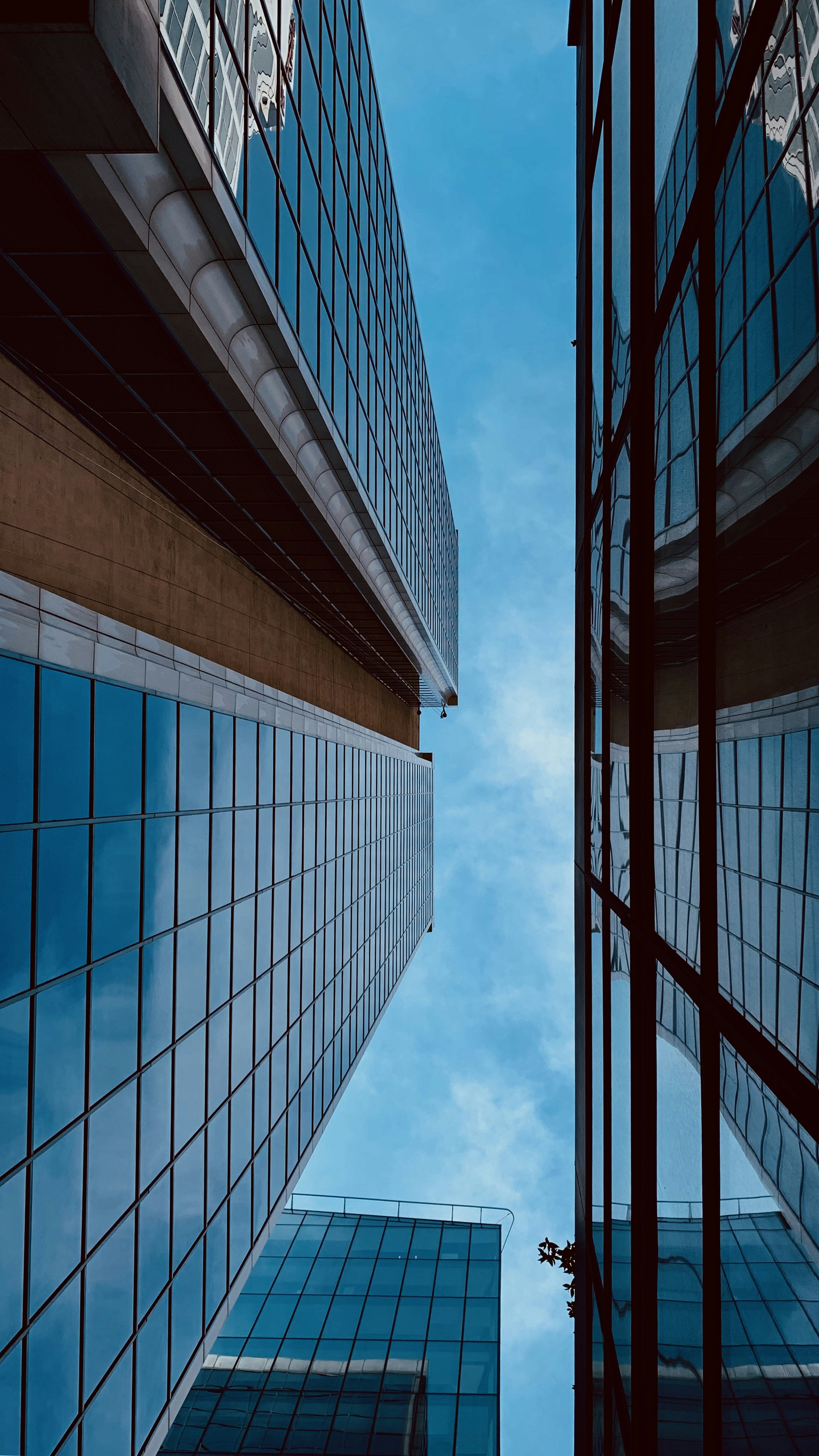 Photo by irfansimsar