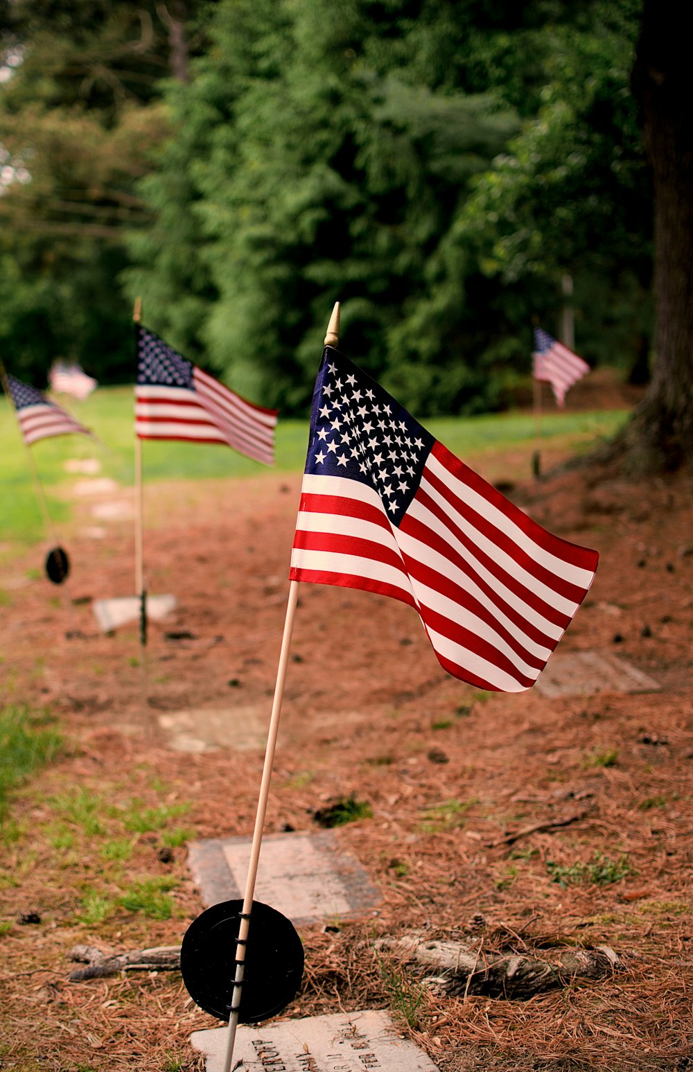 shallow focus photo of flag of USA