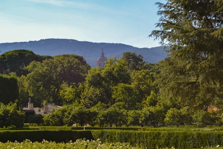 A lush landscape featuring a well-manicured garden with hedges and rows of trees. In the background, a large dome structure rises above the treetops, possibly a church or historic building. The scene is framed by a large tree on the right and mountains in the distance under a blue sky.