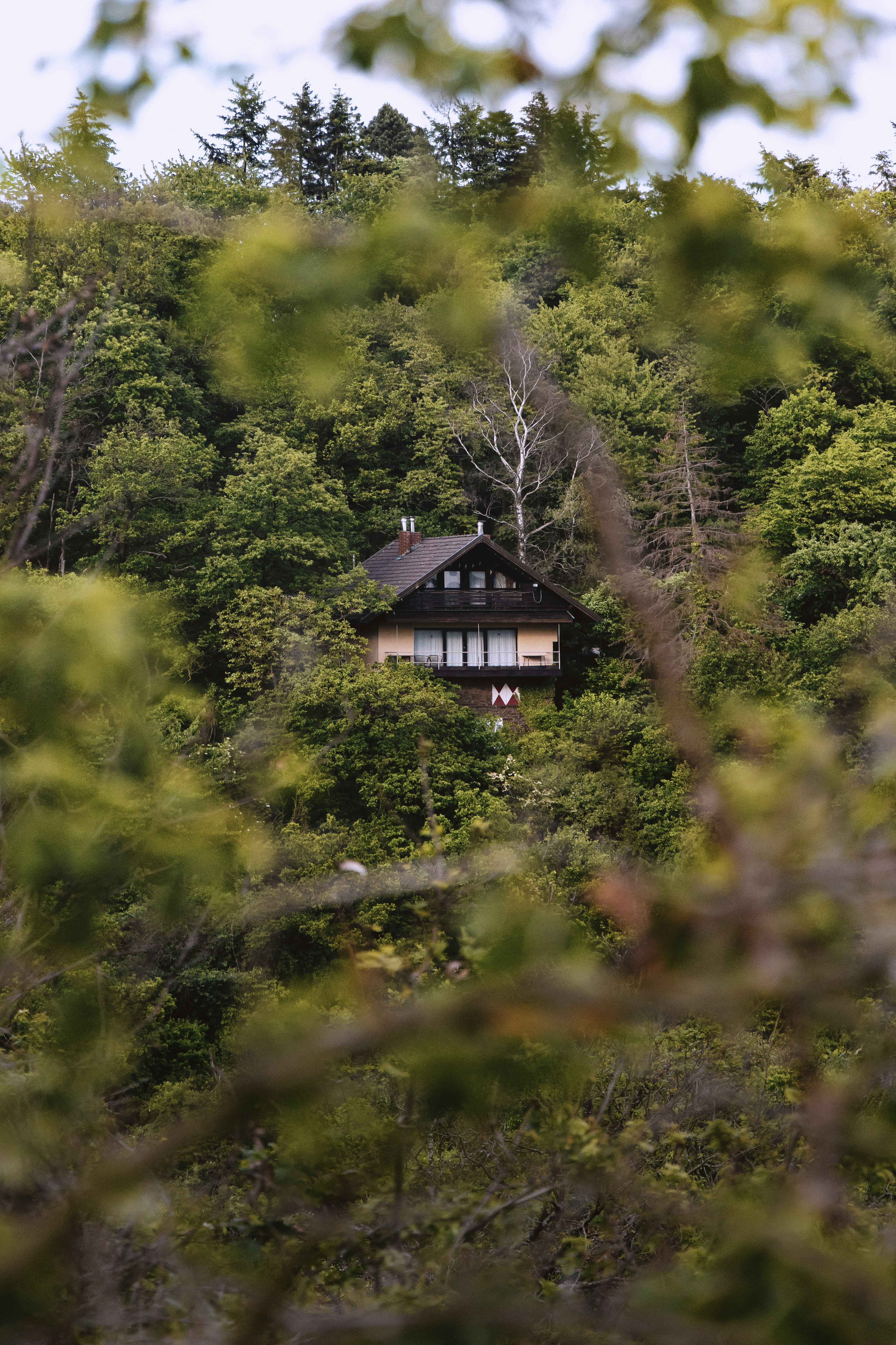 Photo by rabanschwebius