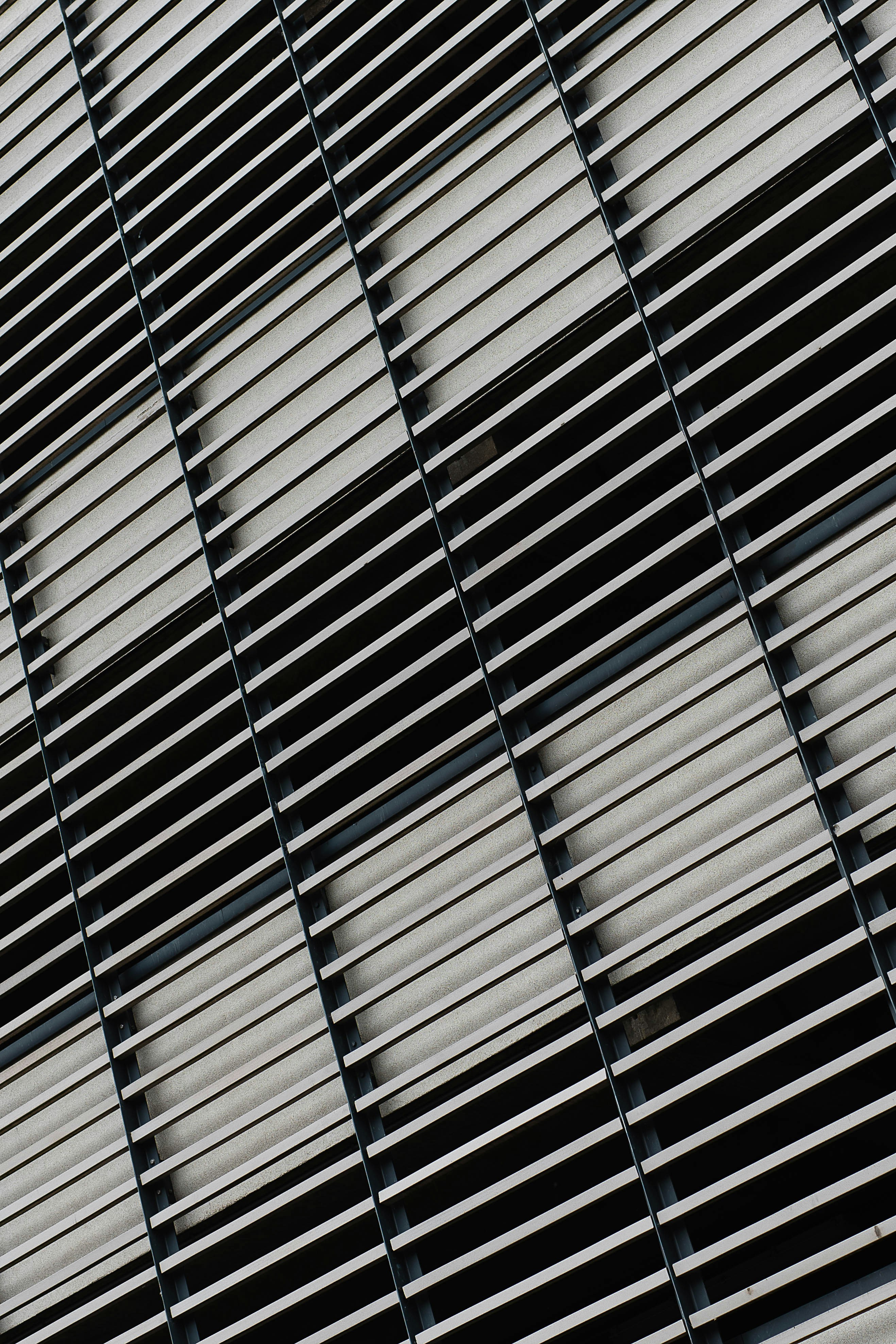 Photo by matt__feeney