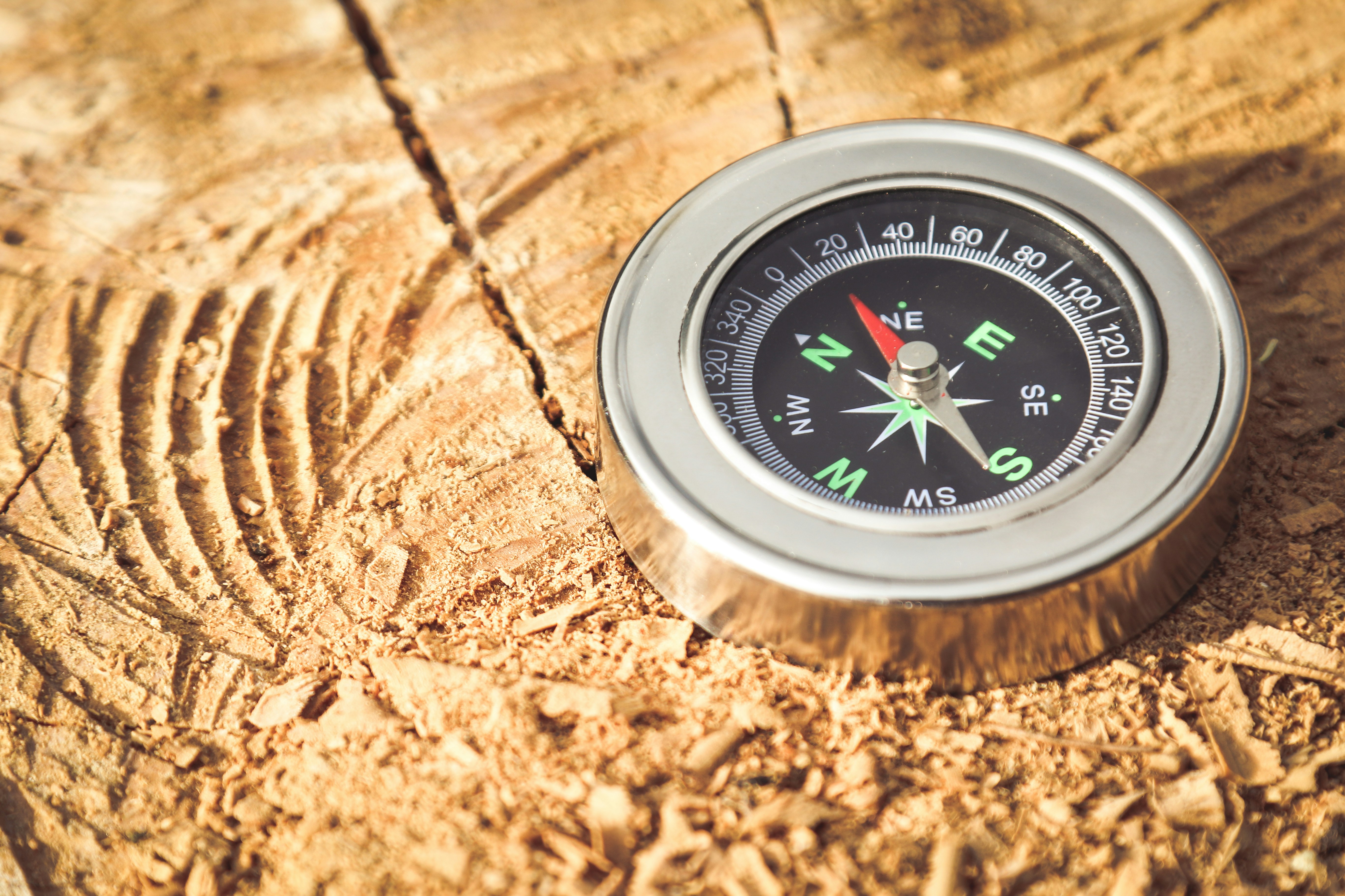How Does a Compass Work? The Science Behind the Needle