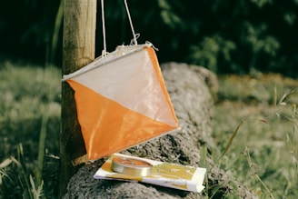 orange and white kite