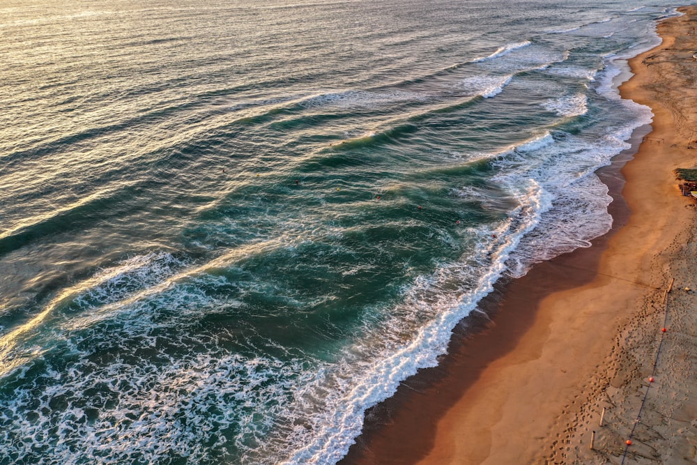 Onde dell'oceano sulla riva