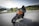 A confident woman in motorcycle gear riding along a scenic road.