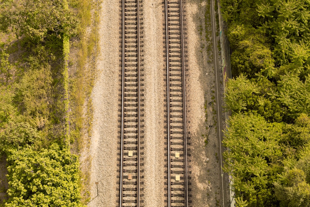 Fotografía aérea de las vías del tren cerca del bosque