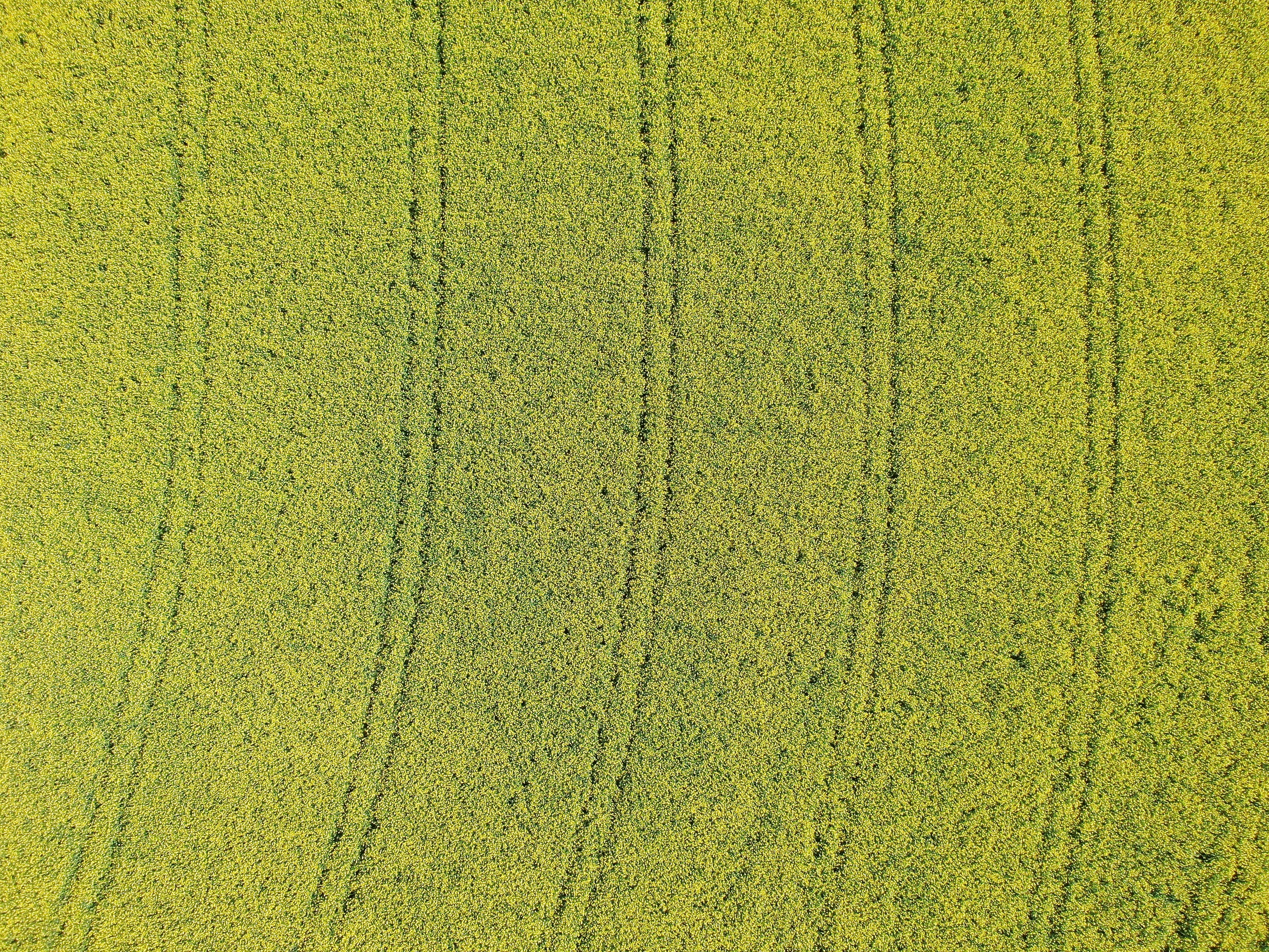 Photo by nathan030997