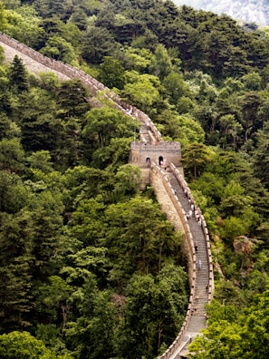 The Great Wall of China