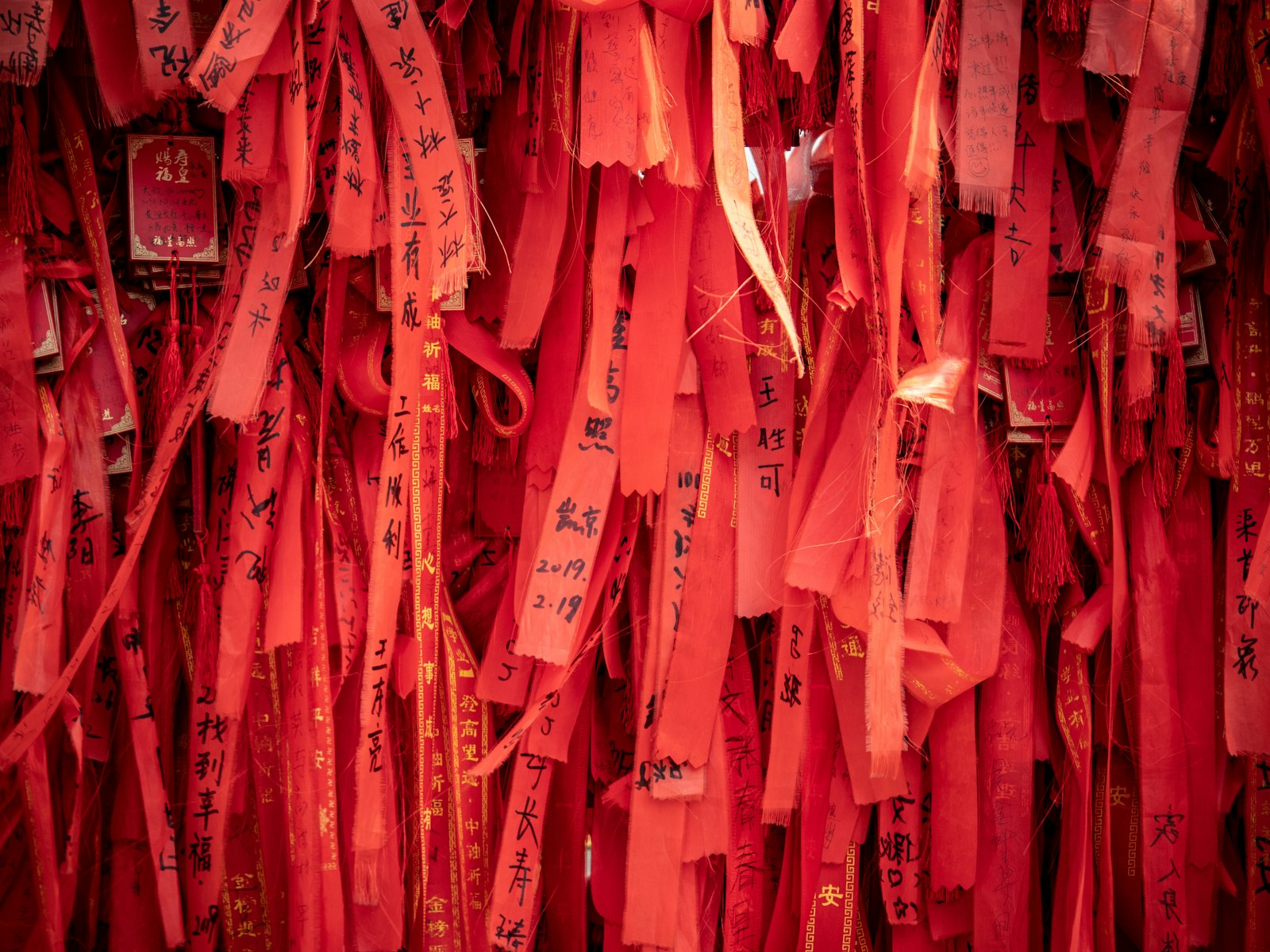 LUMIX G VARIO 35-100/F2.8II sample photo. Red paper strips photography