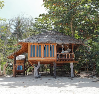 brown wooden hut under tree during daytime