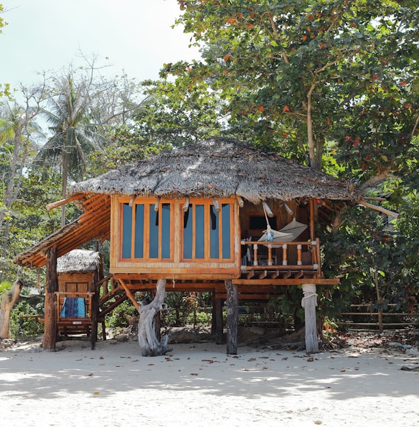 brown wooden hut under tree during daytime