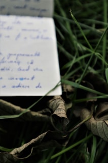 An open notebook resting on a park bench, with nature softly blurred in the background.