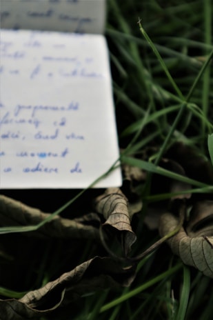 An open notebook resting on a park bench, with nature softly blurred in the background.