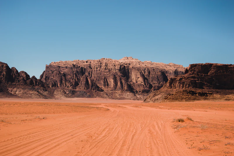 Top Sports Bars in Wadi Rum to Watch the Match With the Crowd