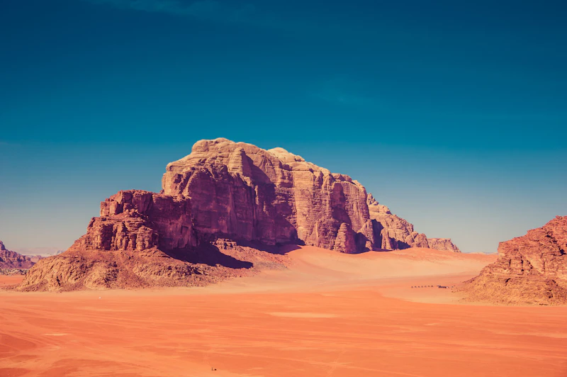 Best Specialty Coffee Roasters in Wadi Rum for Serious Coffee Drinkers