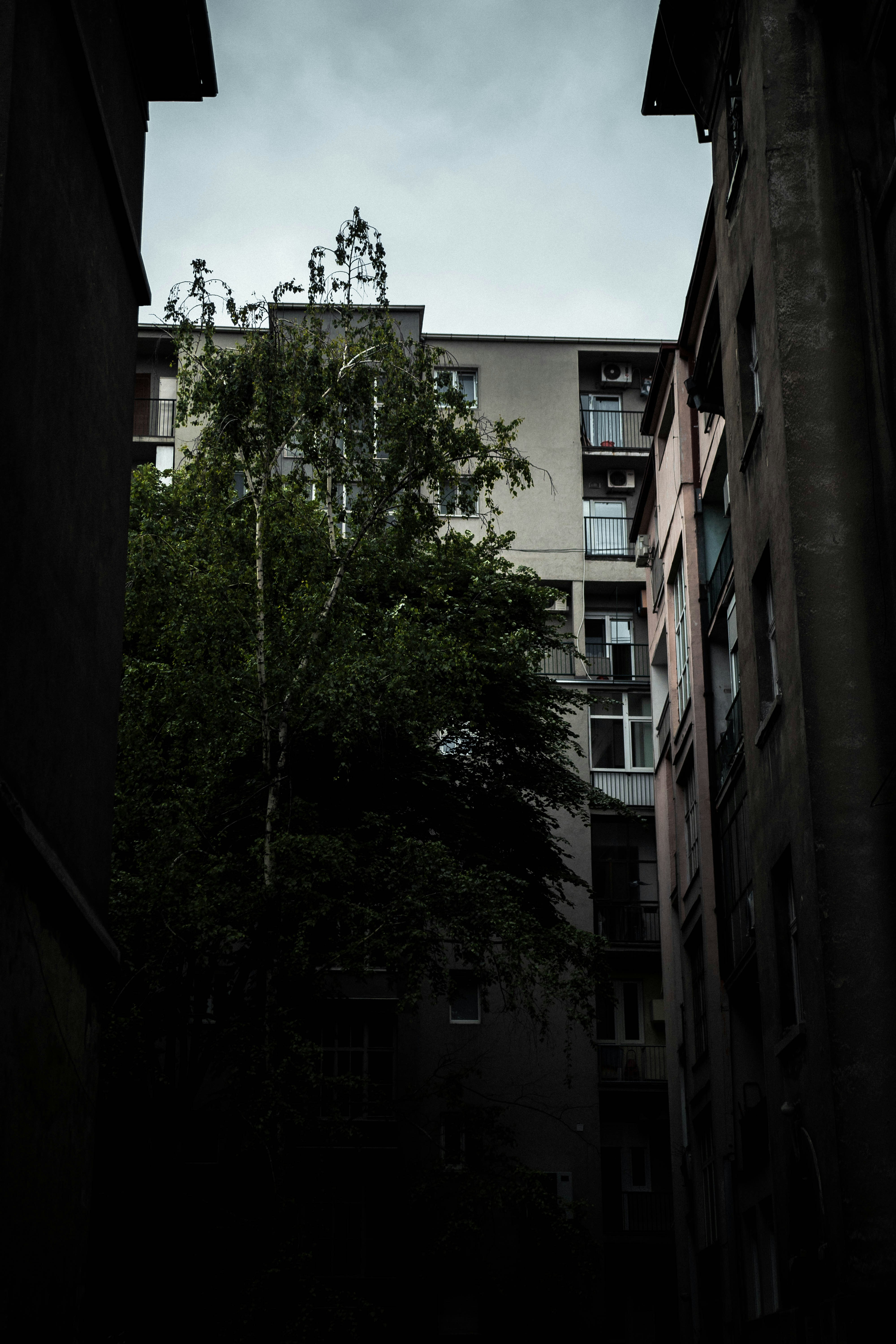 Photo by alexblokstra