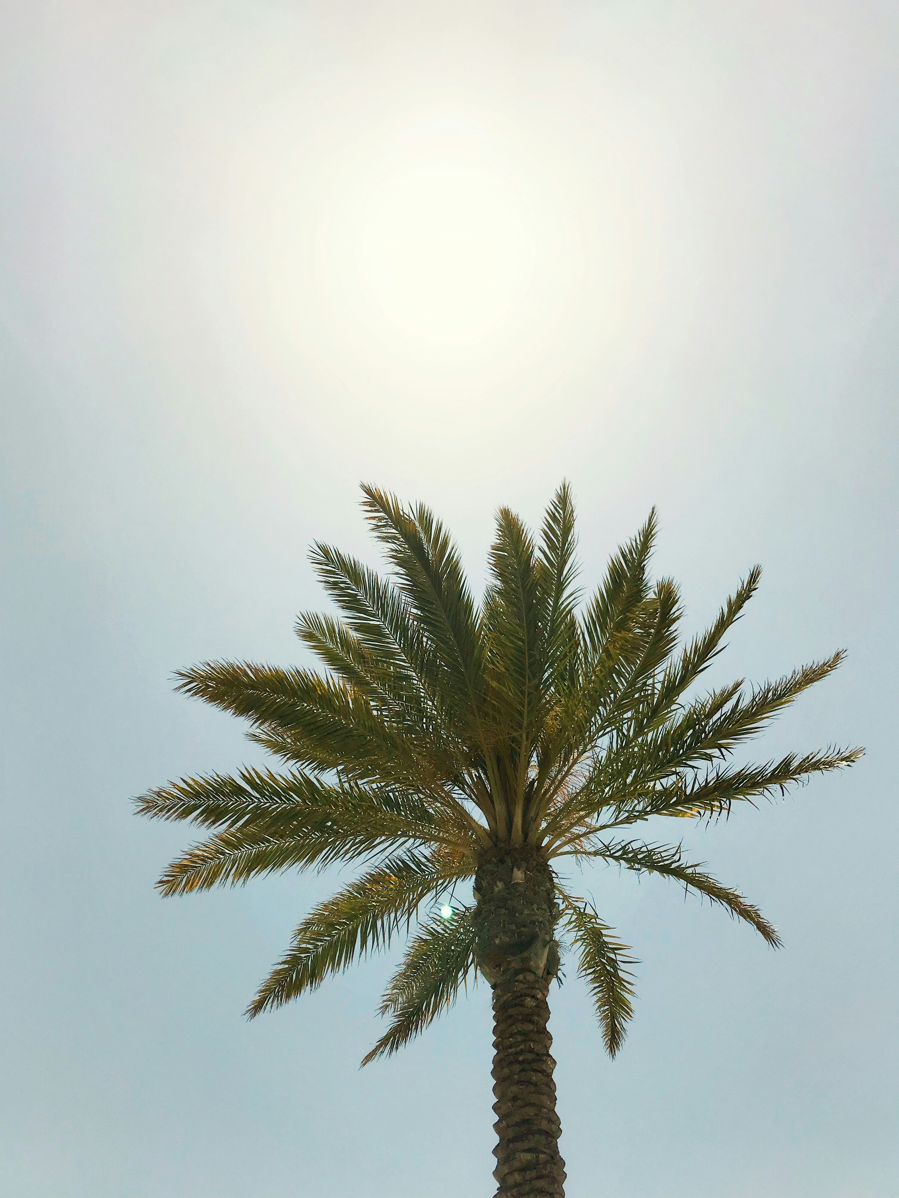 Photo by carathomson