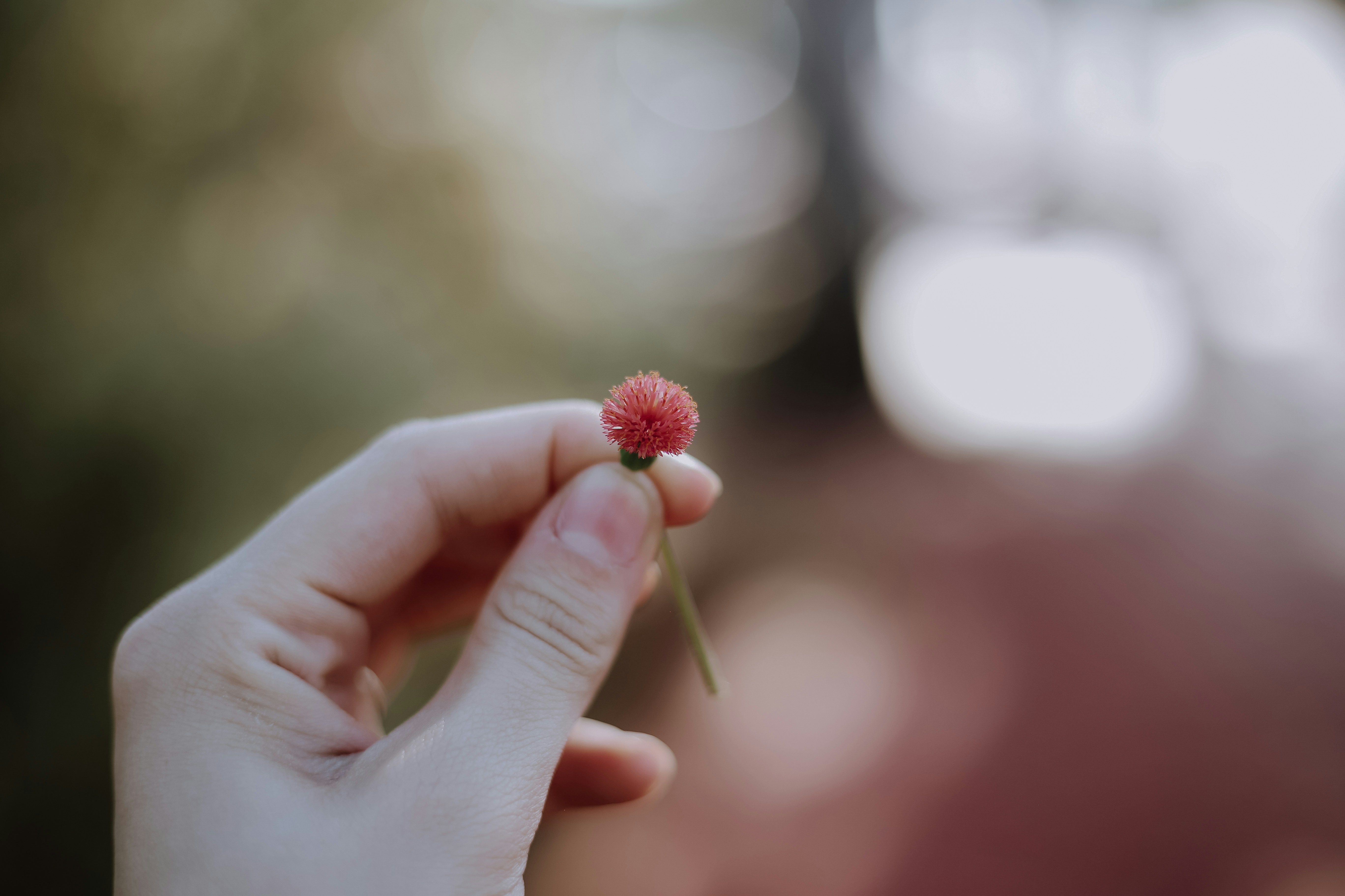 Photo by gabriellemeschini