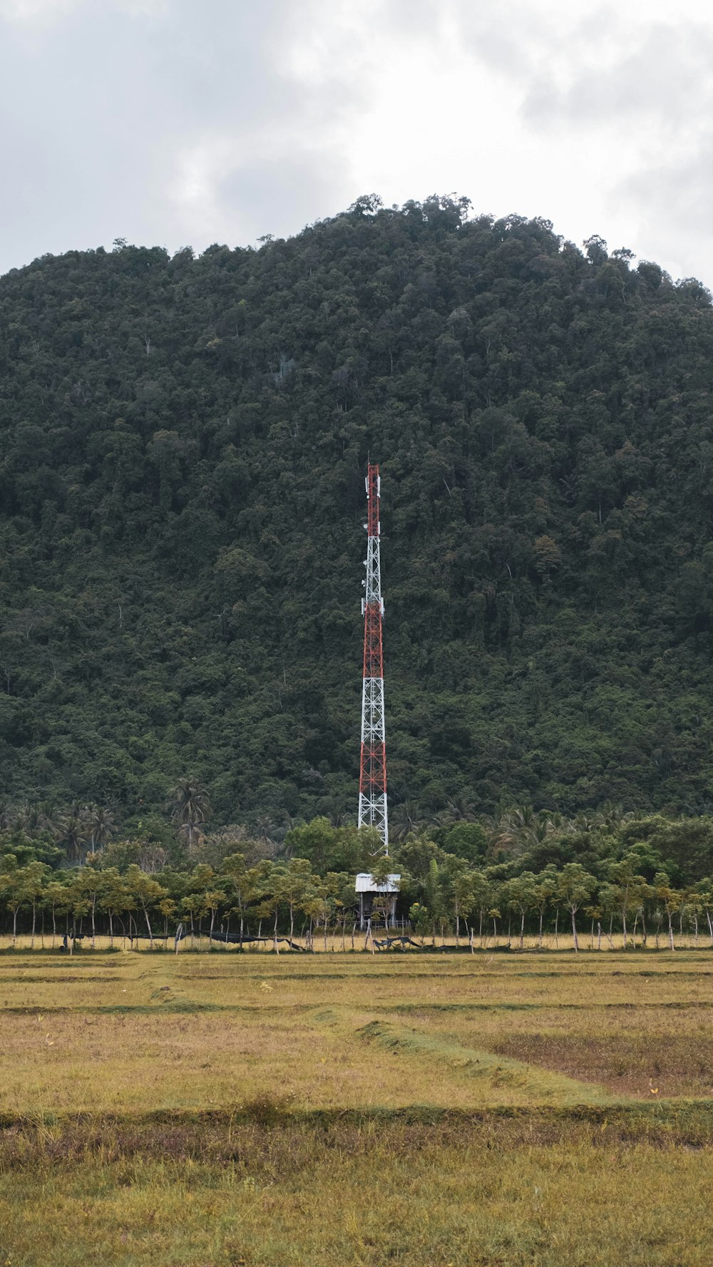 a radio tower in a field with a mountain in the background