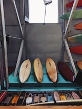 Several surfboards are neatly lined up against a wooden wall, with a variety of longboards displayed below them. The surfboards have lightning bolt designs and are placed in front of a large window that illuminates the room.
